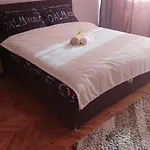 Appartement Jellena
